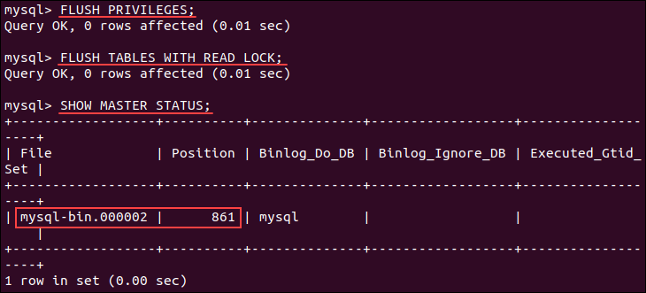 Obtaining the binary log file position and name.